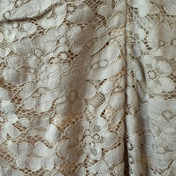 Jill Stuart Beige Lace Gown - Picture 9 of 10